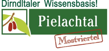 Datei:Logo Dirndltaler Wissensbasis 350px.jpg