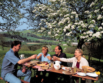Jause unter blühenden Birnbäumen