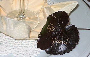 Dekoration bei Feiern