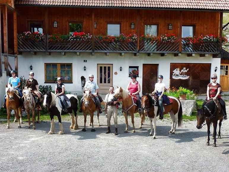 Datei:SD Haflinger 2013.jpg