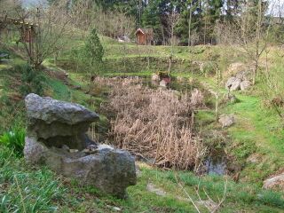Südgarten Biotop im März