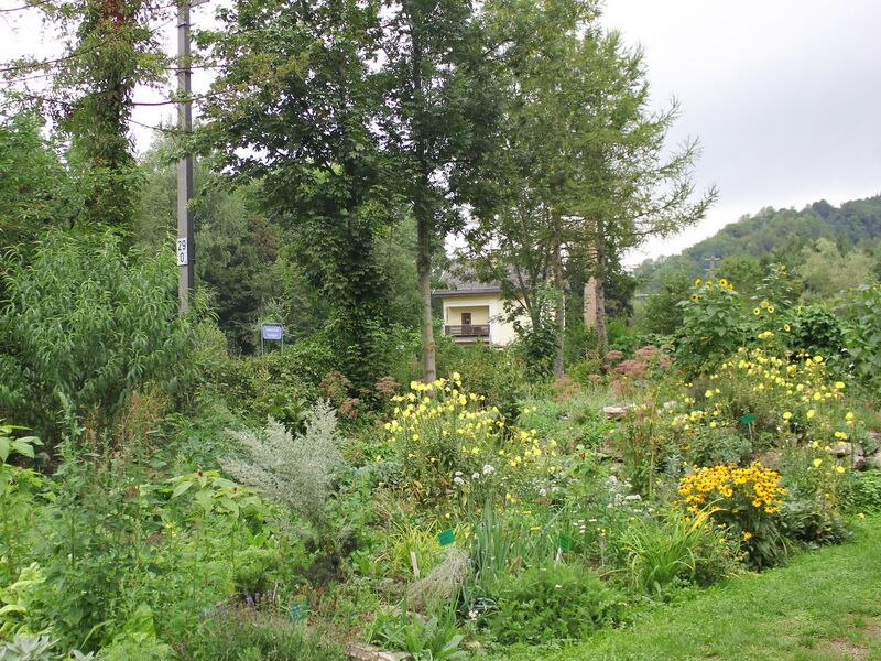 Datei:SG Prodgarten August.jpg