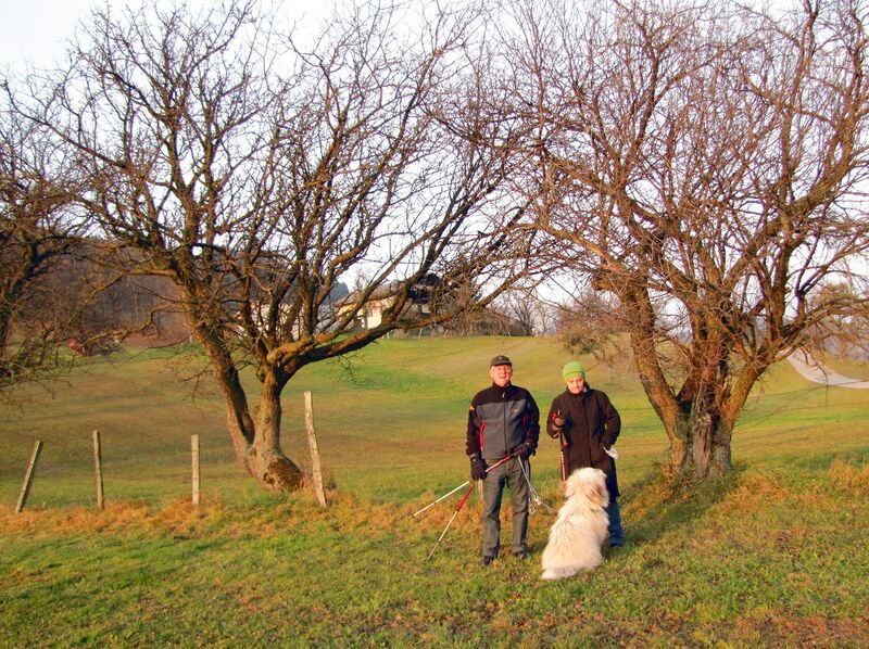 Datei:Wandern Helmut Hund.jpg