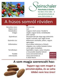 Ungarische Dirndlkarte Seite 1