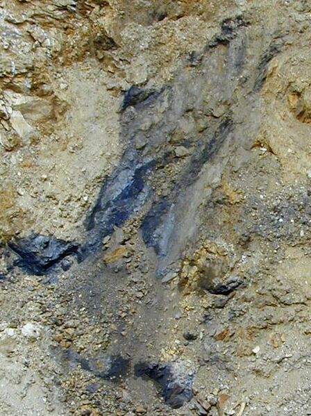 Datei:Kohlefund im Steinschaler Dörfl.jpg