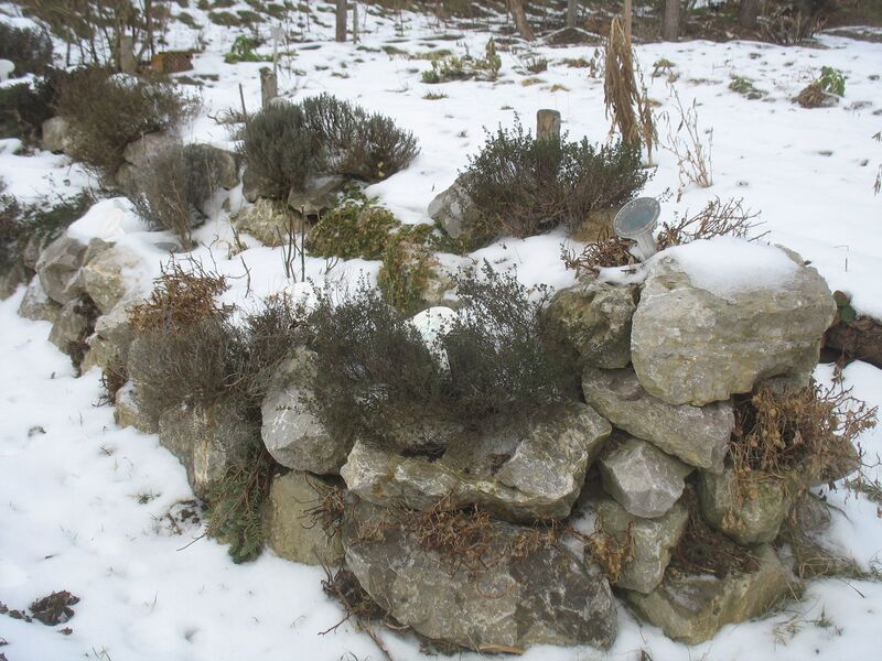 Datei:Kräuterbereich im Winter.jpg