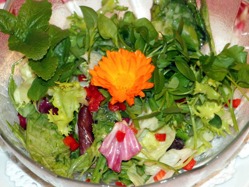 Datei:SK Salatschüsserl 2.jpg