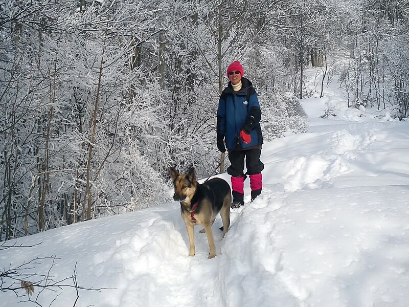 Datei:Wandern mit Hund - Winter.jpg