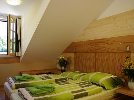 Bett im Zimmer Buche