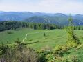 Eisenstein Alm