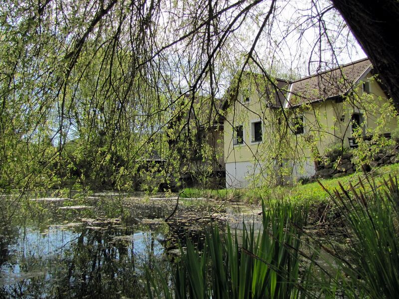 Datei:SH Teichbrücke Frühjahr.jpg