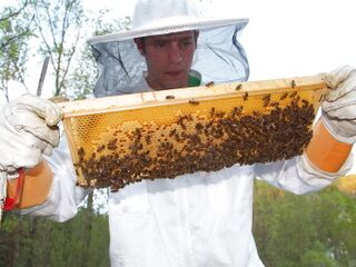 Imker Bernhard im Produktionsgarten
