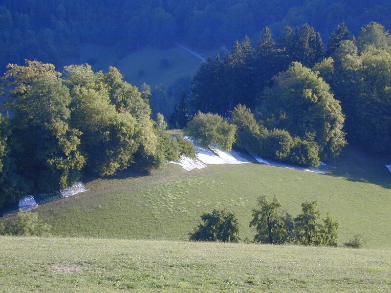 Datei:Dirndlernte Gaisbühel2.JPG