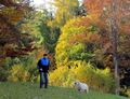 Helmut Weissenbacher - Herbstwanderung