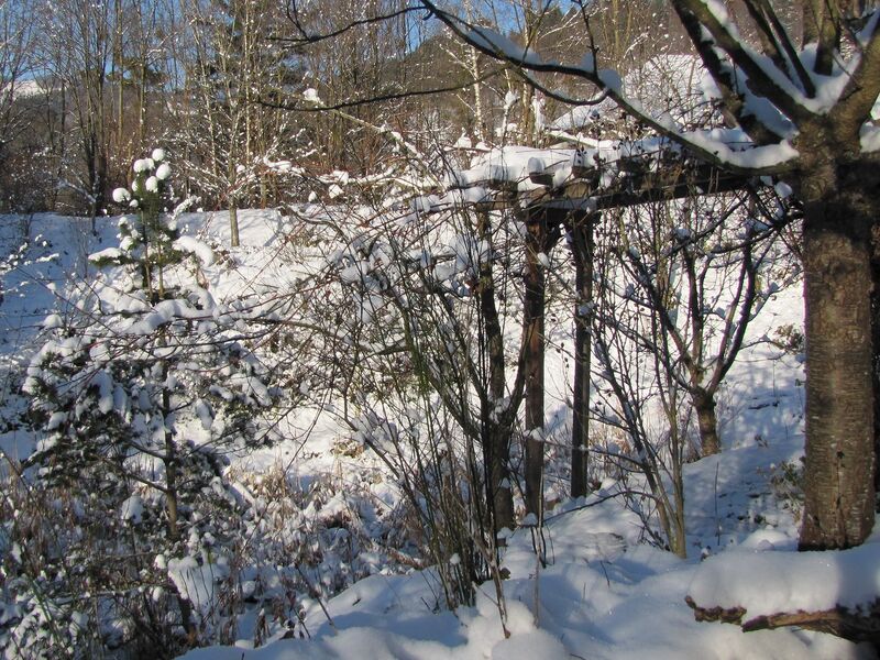 Datei:SH Südgartenlaube Winter.jpg