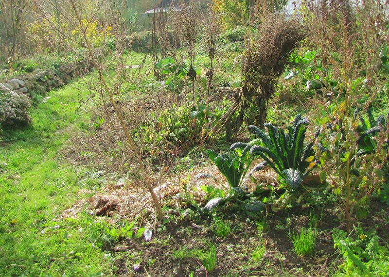 Datei:SG Prodgarten Spätherbst.jpg