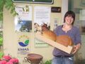Our bread (traditional farmer's recipe) supplier Kalteis