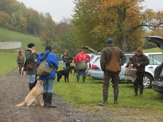 Hunderaining Himmelwiese