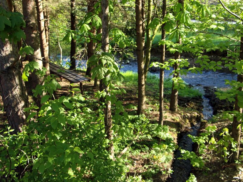Datei:SG Bankerl beim Bach -Hundebadeplatz.JPG