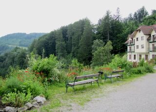 Terrasse (Steinschaler Dörfl)