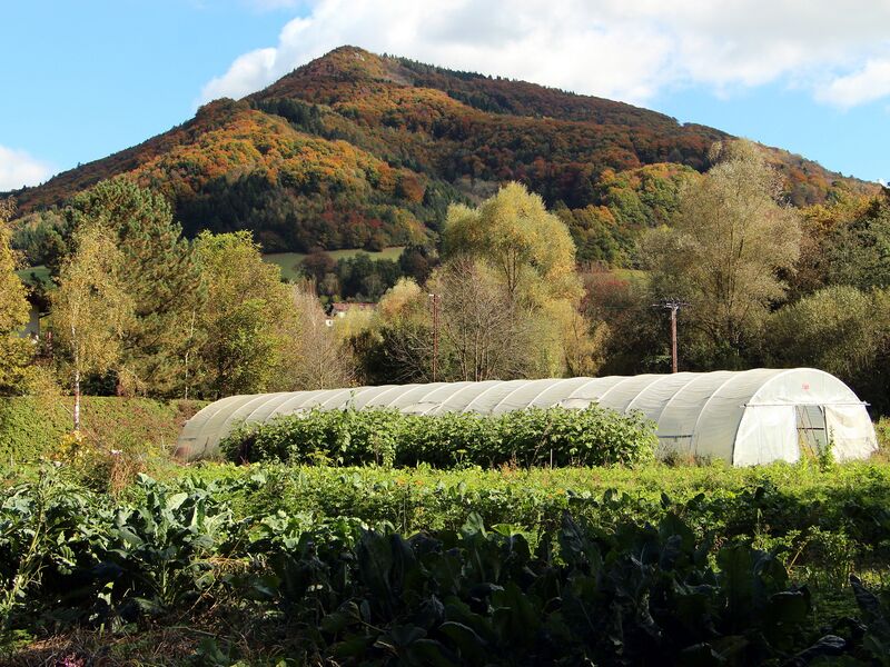 Datei:SG FT2 u Gaisbühel.jpg