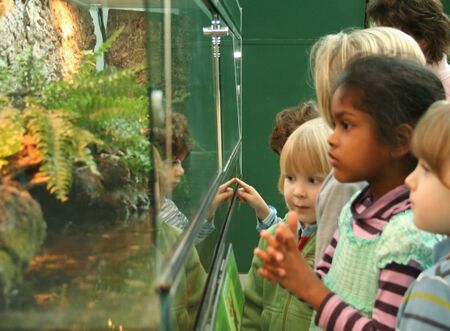 NÖ-Landensmuseum - Terrarien