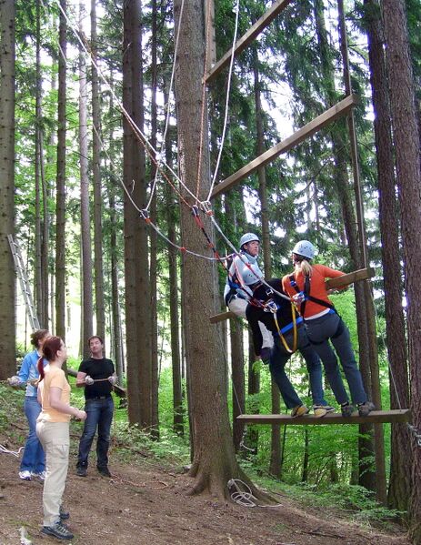 Datei:SD Giant Ladde2.jpg