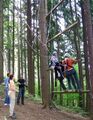 Giant Ladder im Steinschaler Dörfl