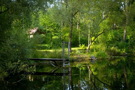 Steinschaler Teich im Abendlicht