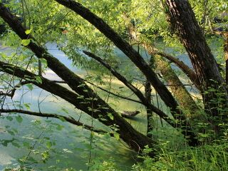 Pausen-Idyll am Steinschaler Teich