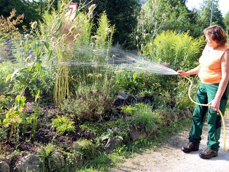 Selten aber bei großer Trockenheit doch: giessen im Naturgarten