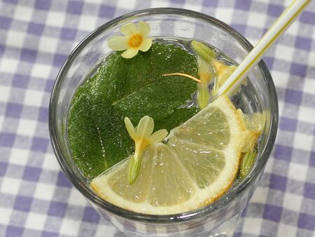 köstliches Minzenwasser
