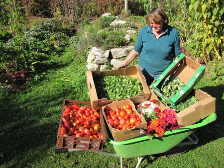 Basis der Steinschaler Küche - der Biogarten