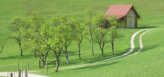 Streuobstwiese auf dem Weg zum Eisenstein - Loicher Aufstieg