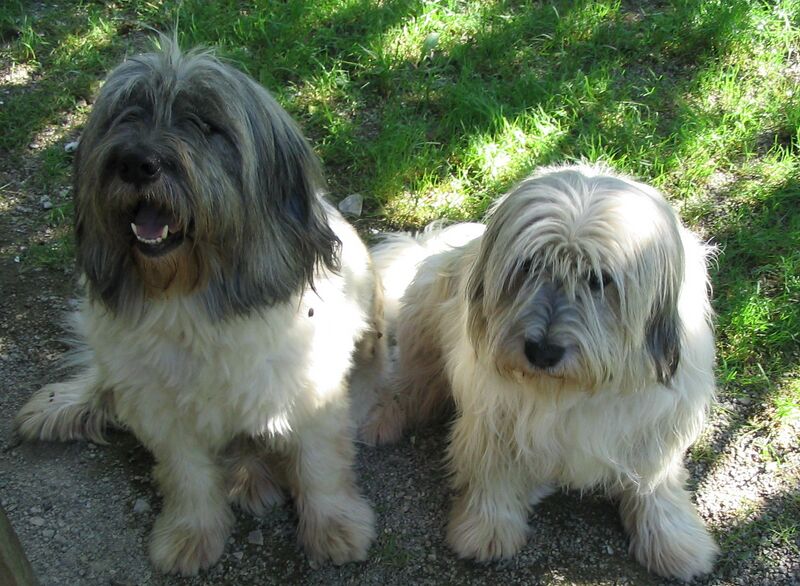 Datei:Die PONs Wastl und Lilo.jpg