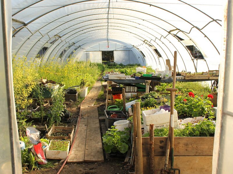 Datei:SG-Blick in FT2 April 12.jpg