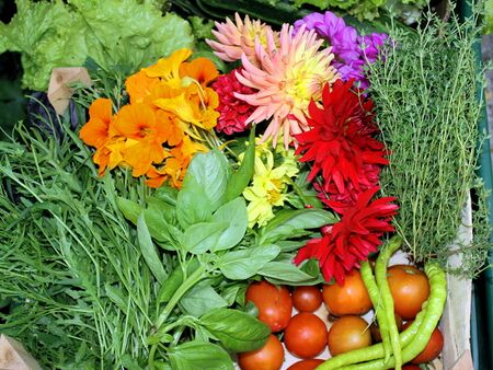 Ernte-Scheibtruhe im August