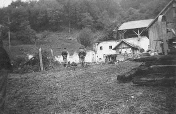 Springer Brandstatt 1957