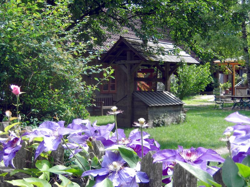 Datei:Sh Nostalgiegarten Klematis5.jpg