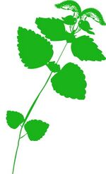 Bildteil vom Gartenlogo