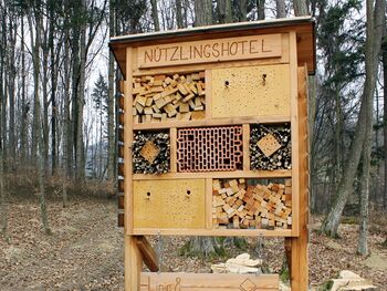 Nützlingshotel im Pfarrwald an der Laufstrecke