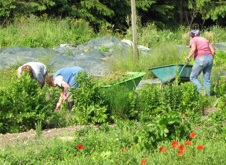 Pielachbettgarten Frühjahrs-Arbeiten