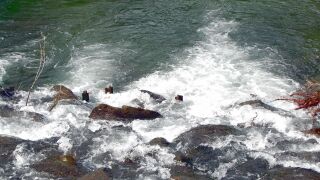 Blick von König (Steiner) Brücke