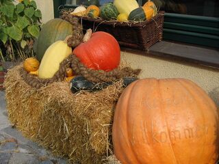 Kürbisdekoration Herbst