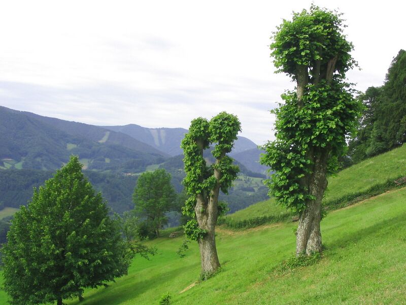 Datei:Exkurionslandschaft Schnoatbam.jpg