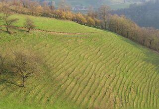 Viehsteige beim Banzhäusl