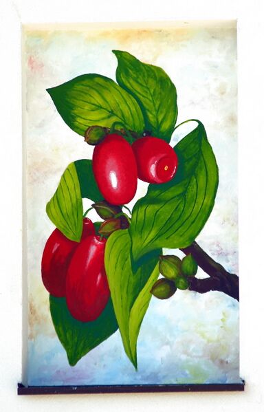 Datei:SD Sommerdirndl RTri.jpg