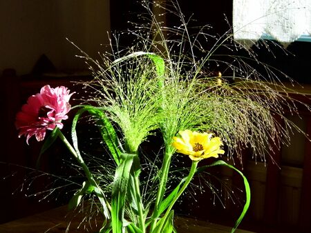 Dekoblumen im Abendlicht