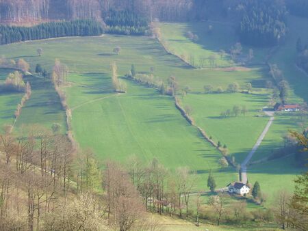 Frühling - Tradigist