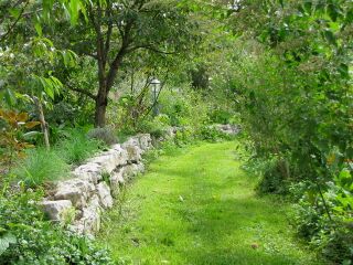 Produktionsgarten (Steinschalerhof)